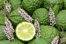 Load image into Gallery viewer, Close-up of green bergamot fruits with a halved fruit showing its interior. Citrus blend for fresh and clean perfume lovers 