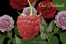 Load image into Gallery viewer, Raspberry surrounded by red and pink roses with 'Oud Patchouli' text on a black background. Affirmation perfume - graceful - animal free, oil based parfum 