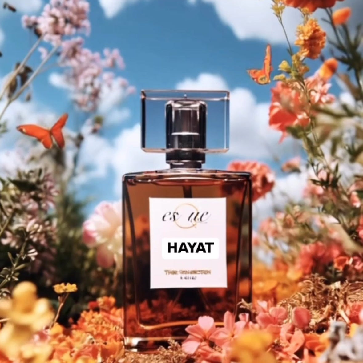 HAYAT