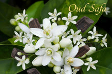 Load image into Gallery viewer, OUD SAFA